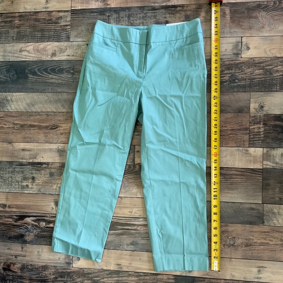 Ann Taylor Factory Pants - NEW Ann Taylor Crop Pants Womens Green Cotton Twill Slacks Chino Capri